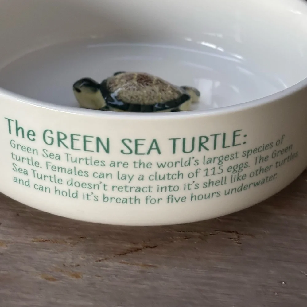 Honest Goods 3D Green Sea Turtle Pet Water Bowl 6 1/4”W